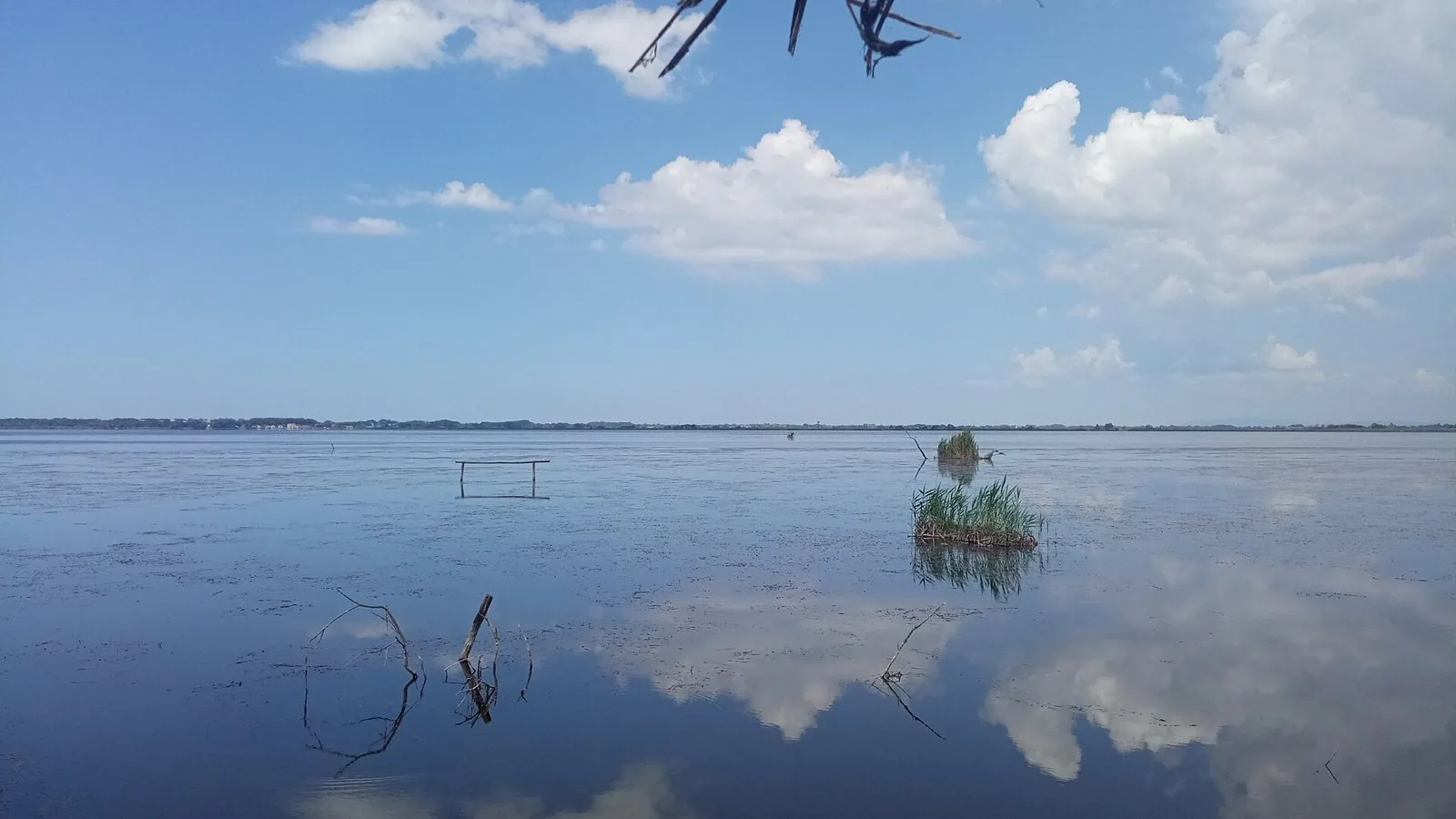 Lo specchio calmo del Lago di Massaciuccoli visto dall'Oasi LIPU, con ciuffi di canne e nuvole bianche riflesse nell'acqua
