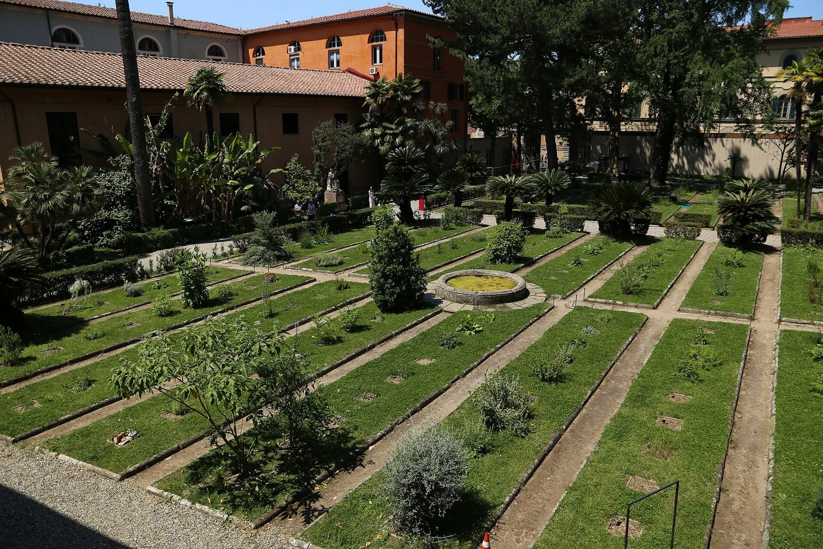 Le aiuole geometriche della zona antica dell'Orto botanico di Pisa con palme, alberi e piccola vasca centrale