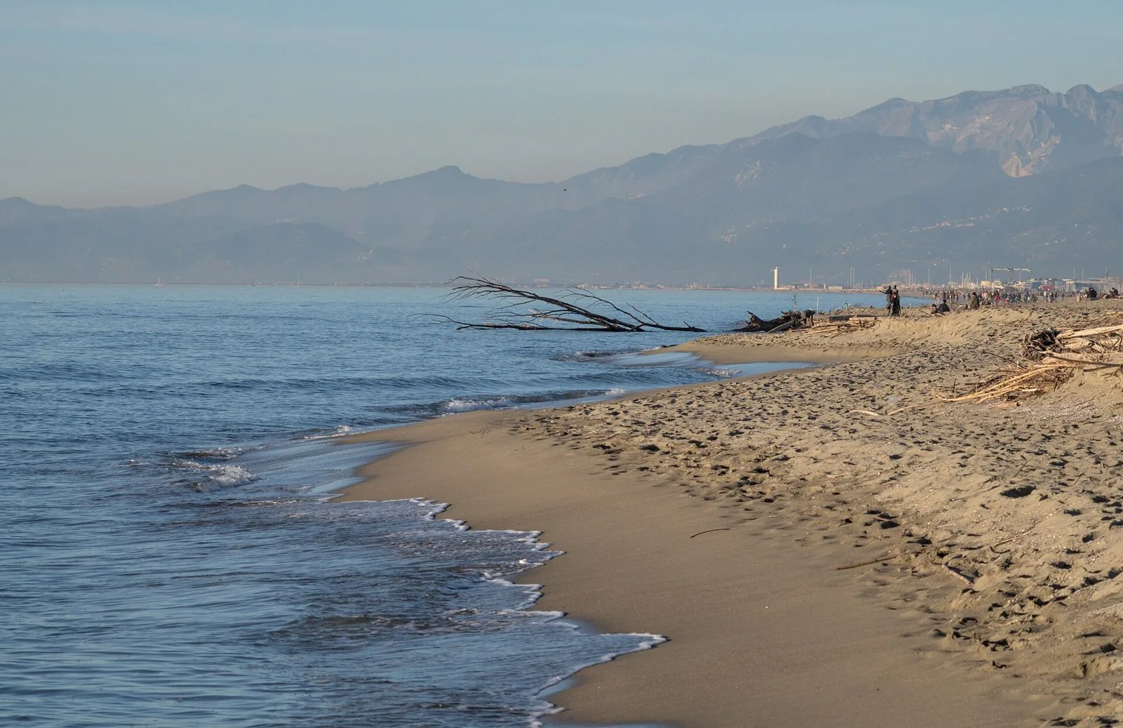 Spiaggia sabbiosa di Marina di Vecchiano con onde basse, tronchi portati dal mare e le Alpi Apuane sullo sfondo